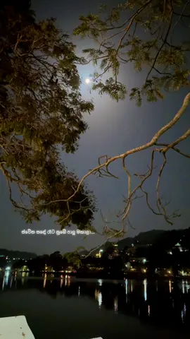 ස්වේත සඳේ රෑට නුඹේ පාලු මකාලා..☁️🌕 #neera #newsong #kandynightvibe #fypシ゚viral🖤tiktok #neeramovie2025 @Yasas Medagedara @Neera