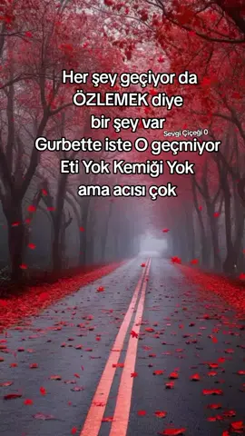 ###keşfet ###ti̇ktok ###öneçıkar 