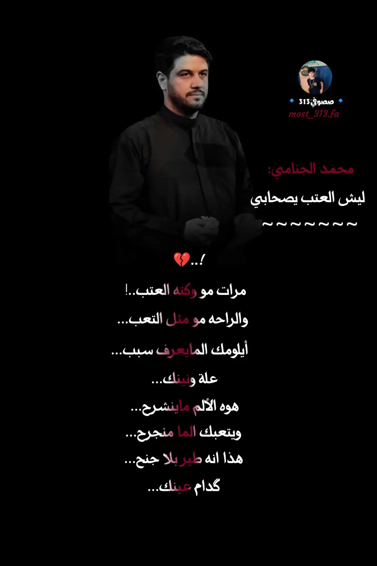 #محمد_الجنامي #قصائد #شيعي #ياعلي #fyp 
