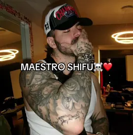 EVOLUCIONÓ 🤣 #shifu #fyp #viral #kick 