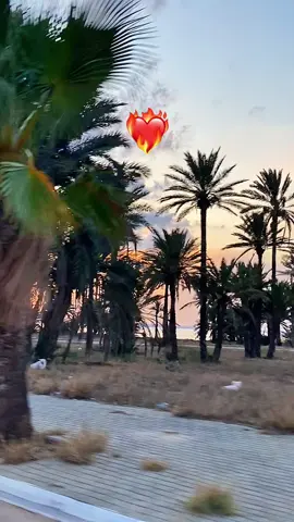 Endless obsession ❤️‍🔥❤️‍🔥❤️‍🔥 #tunisia🇹🇳 #😍😍😍 #monastir🇹🇳 