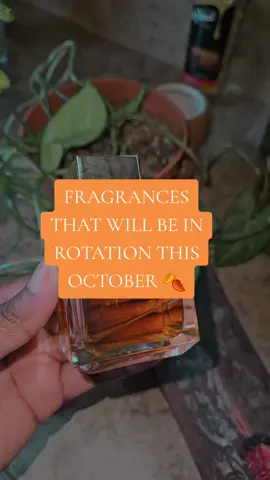 Fragrances that will be in rotation for October 🍂#fyp #fragrancetiktok #phlurfragrance #fragrancetray 