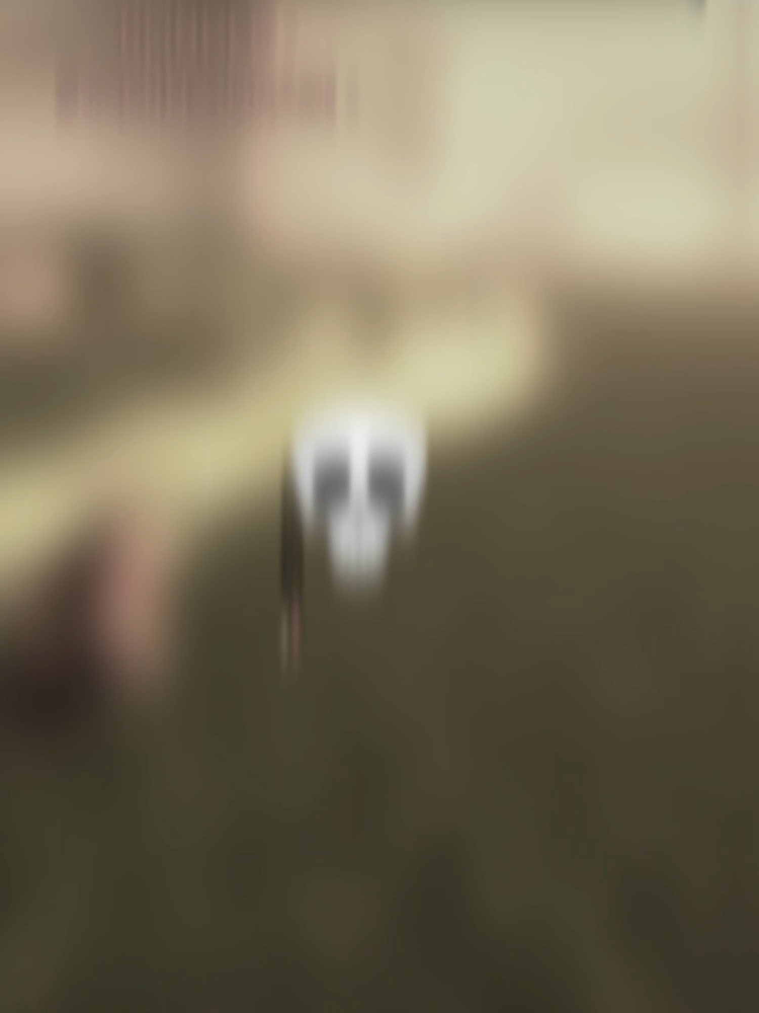 Best uma musume game. Game name: Uma racing #roblox #umamusume #anime #edit #fyp