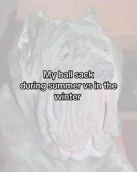 Why does this happen to us? #fyp #viral #Summer #winter #relatable 
