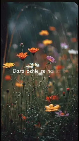 #creatorsearchinsights #fyp #blowthisupforme #grow #likesforlike hindi songs 