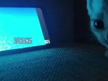 #песня #рек #китти 