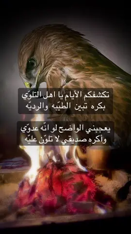 #فلسطين_أحساس_شاعر_لايك_فضلآ_وليس_أمرآ 