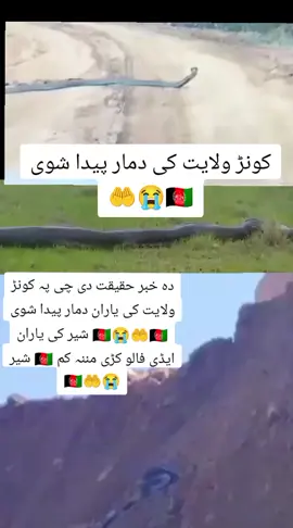 #ن_تاجیک_هزاره_ازبک_زنده_باد🇦🇫🔐🇩🇪 #پشتون_تاجیک_هزاره_ازبک_زنده_باد🇦🇫🦁 #پښتون_تاجیک_هزاره_ازبک_زنده_باد🇦🇫 