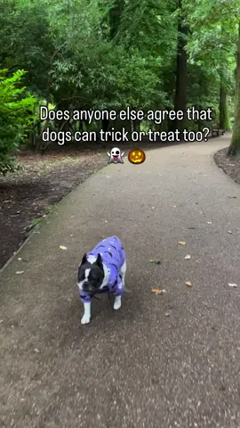 If my dog’s not getting treats, I’m not either 👻🎃🐾 #sparkpaws #sparkpawsofficial @lazyladythefrenchie