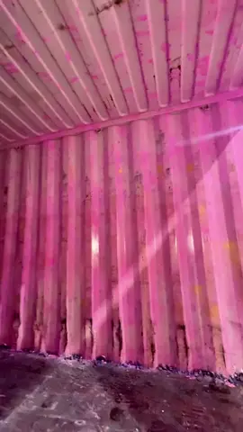 Indoor Paintball in Brooklyn! Area 53 616 Scholes st, Brooklyn NY Come give it a try!