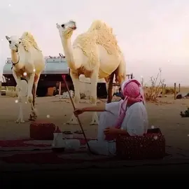 انجيب للحقيقةة…#اكسبلورexplore  #طبرق_بنغازي_درنه_طرابلس_البيضاء #مطروح_رأس_الحكمه_النجيله_براني_السلوم #هشتاقاتي_الترند_المشهوره🤭 #غناوي_علم_فااااهق🔥 