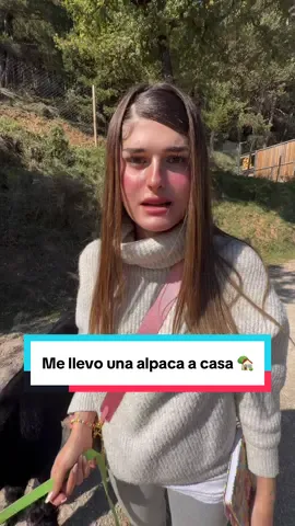 Quiero llevarme a mortimer a casa 😭❤️