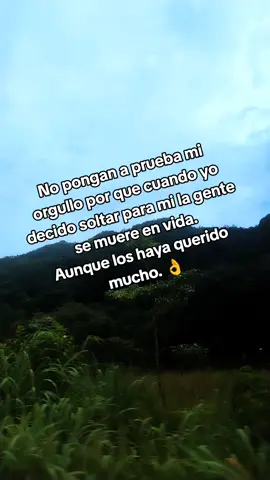 No pongan prueba mi orgullo#teamwork #amorpropio #fyp 