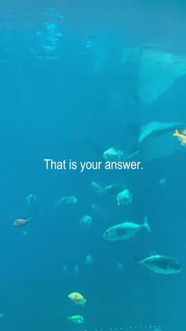 it’s officially ghosting season, will i make it this year ?? #tomorrow_x_together #kpop #lyrics #txtmoa #foryou 