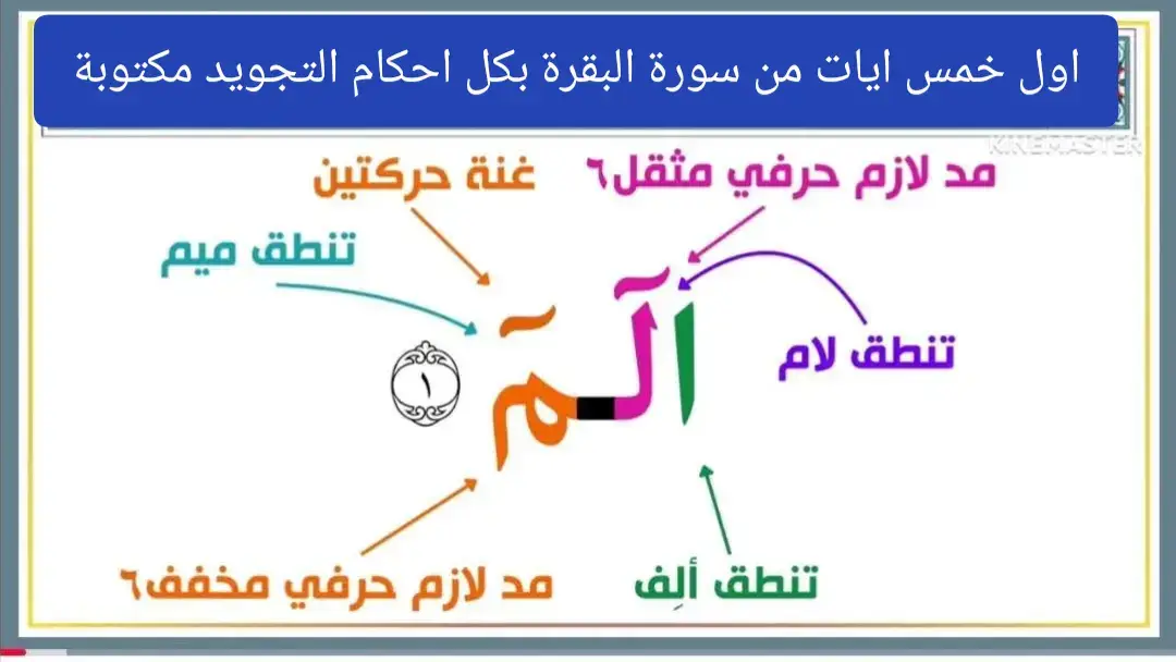 #سورة_البقره #التجويد_المبسط_للمبتدئين #التجويد_المصور #التجويد_الميسر #القرأن_الكريم_راحة_نفسية 