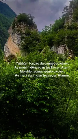 Göz yaşım tökülür məzar daşına, Tez köçdün qurbanam cavan yaşına🥀