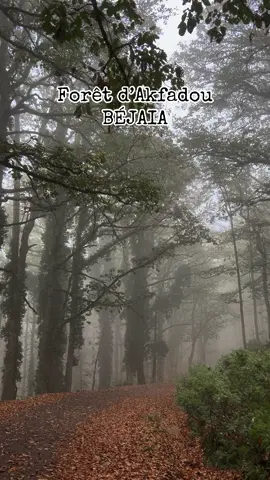 #travel #comping #camping  #nature 