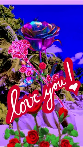 #amour #couple #creatorsearchinsights 