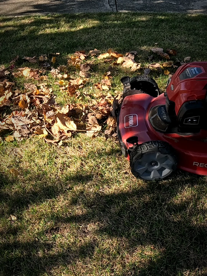 Why rake when you can mow & bag in one go? 🍂 #LeafHack #FallCleanup #MowAndBag #FallLawnCare #NoRakeLife