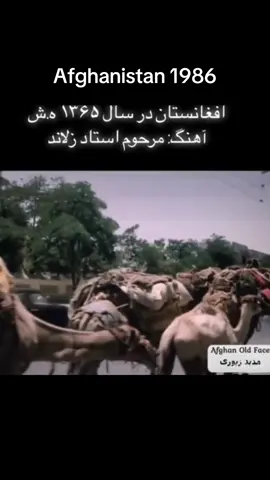 #afghanistan#afghan  