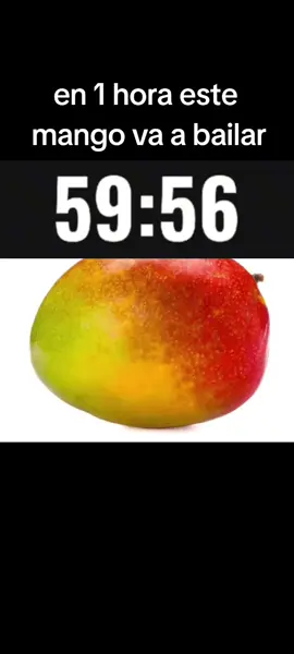 mango bailando en 1 hora #mango#🥭#noflop#fyp #foryou 