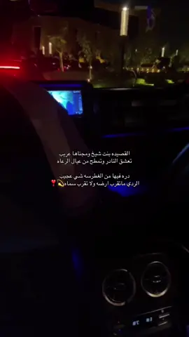 القصيده بنت شيخ ومجناها عريب  تعشق النادر وتمطح من عيال الرعاه دره فيها من الغطرسه شي عجيب  الردي ماتقرب ارضه ولا تقرب سماه ماتجي في ذمة اللاش لو انه قريب لو تبيع الكون والناس وتبيع الحياه 