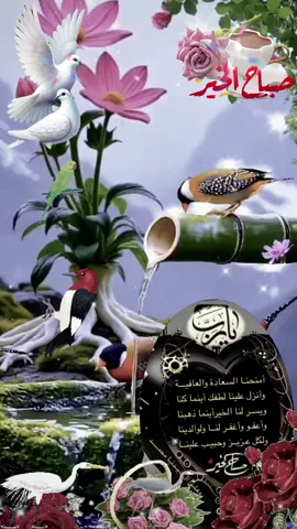 #صباحكم_معطر_بذكر_الله💚🌹🌿🌷😍🌸🙏 #صباحكم_أحلى_صباح🌹🌹 #صباح_الخير #🤲🤲🕋🕋🤲🤲 