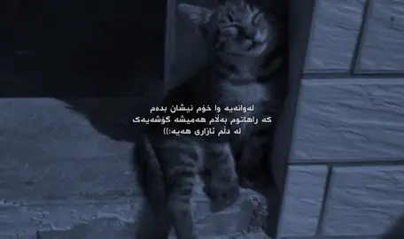 ئازار هەیە..)#acc #foryoupage #rasty_lak #foryoaya #fipシ 