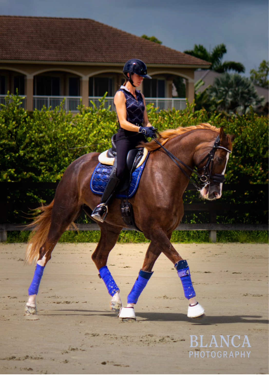 I love what I do…😩 #horses#equinephotography#fyp#fypシ#foryoupage❤️❤️