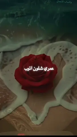 #يسعدلي__اوقاتڪۘم #مساء_الخير🌹 #يسعدني_تواجدكم_ويشرفني_مروركم_الراقي #❤️🙏🙏🥀 #🖤🖤 