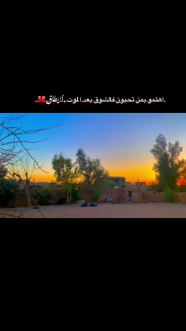#تصويري_احترافي_الاجواء👌🏻🕊😴 
