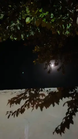 Bera serete saxbi🫂…..!  #hozanhamit #fyppppppppppppppppppppppp #keşfeteyiz #اكسبلورexplore #sözbırak 