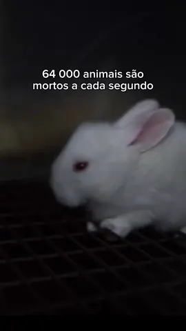 E todos são inocentes