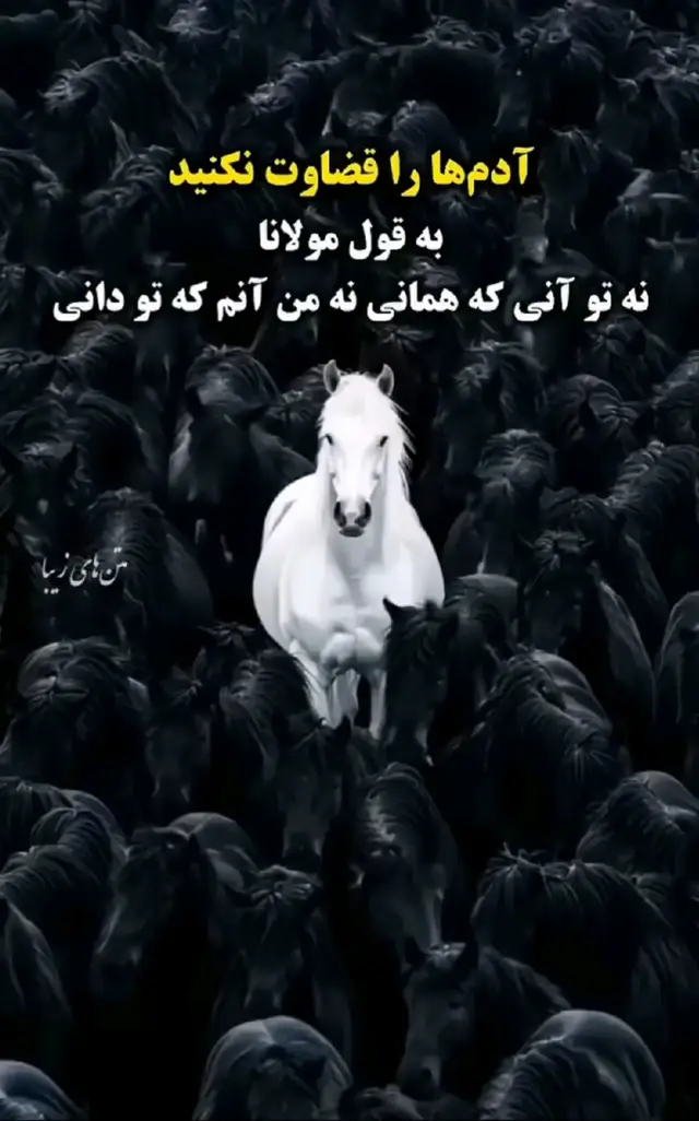 #fyy_foryu_vidio_virall #🖤✨ 