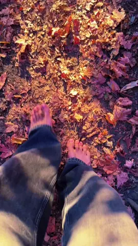 fall beauty