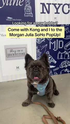 Kong couldn’t decide if he liked Morgan’s needlepoint or belly rubs better🤩🪡🎀 @MorganJuliaDesigns #needlepoint #hobby #cottagecore #popup #nyc 