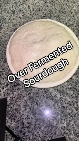 Over fermented sourdough doesn’t have to be focaccia????? This is my third loaf don’t yell at me #sourdough #sourdoughbread #bake #bread #breadtok 