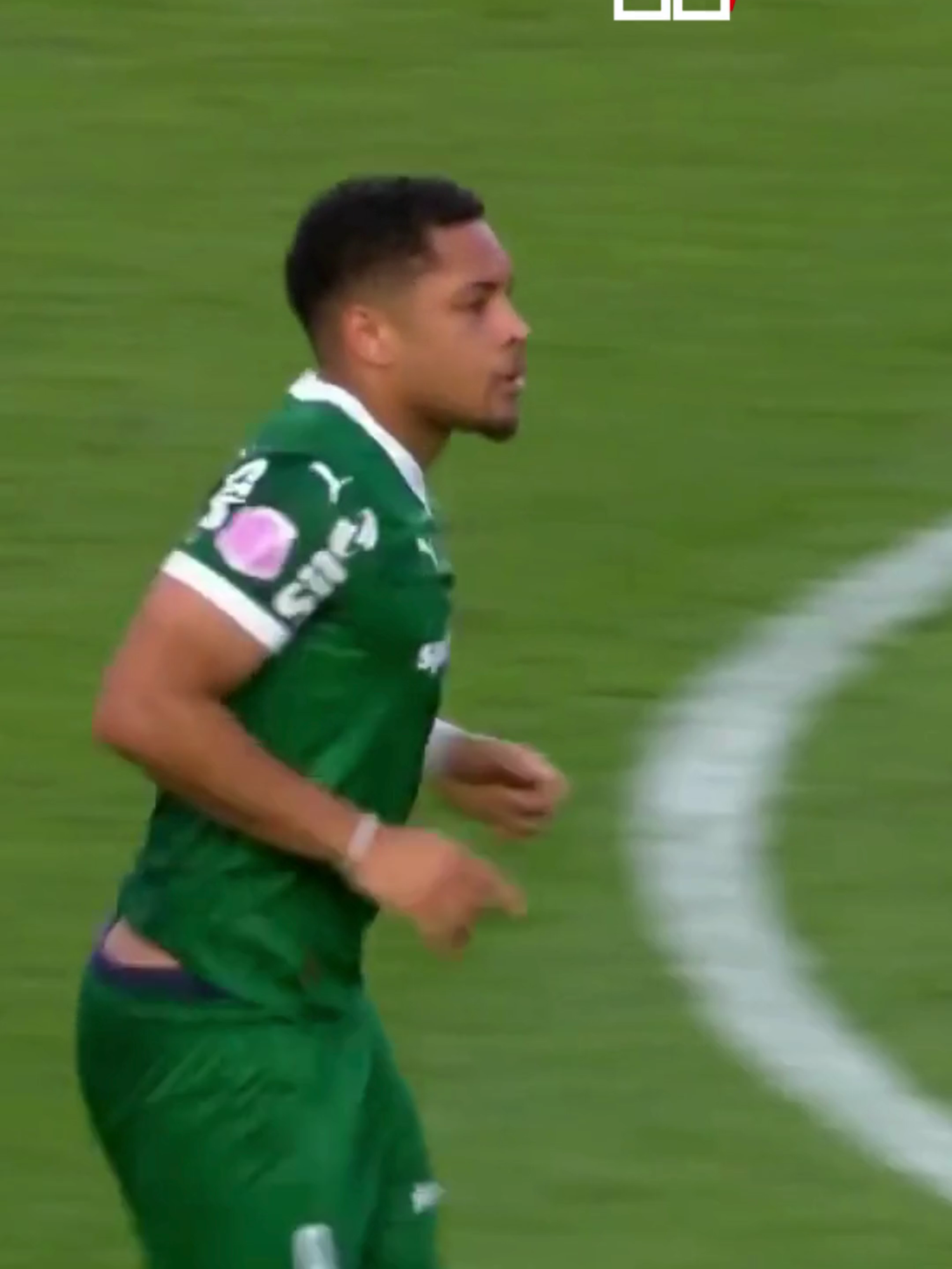 GOL DE VITOR ROQUE DO PALMEIRAS CONTRA O SÃO PAULO #palmeiras #vitorroque #futebol #saopaulo #saopaulofc #brasileirao