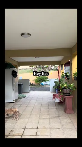 🙈🙈 #heybae #parati 