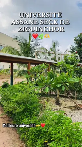 #senegalaise_tik_tok #casamance🌿🍀🍀💚🤍❤️🇬🇲🇸🇳 #uasz @l’étudiant 27 🇫🇷🇸🇳 @Wade 🥀 @Khadija 💗 @CROUSZ 