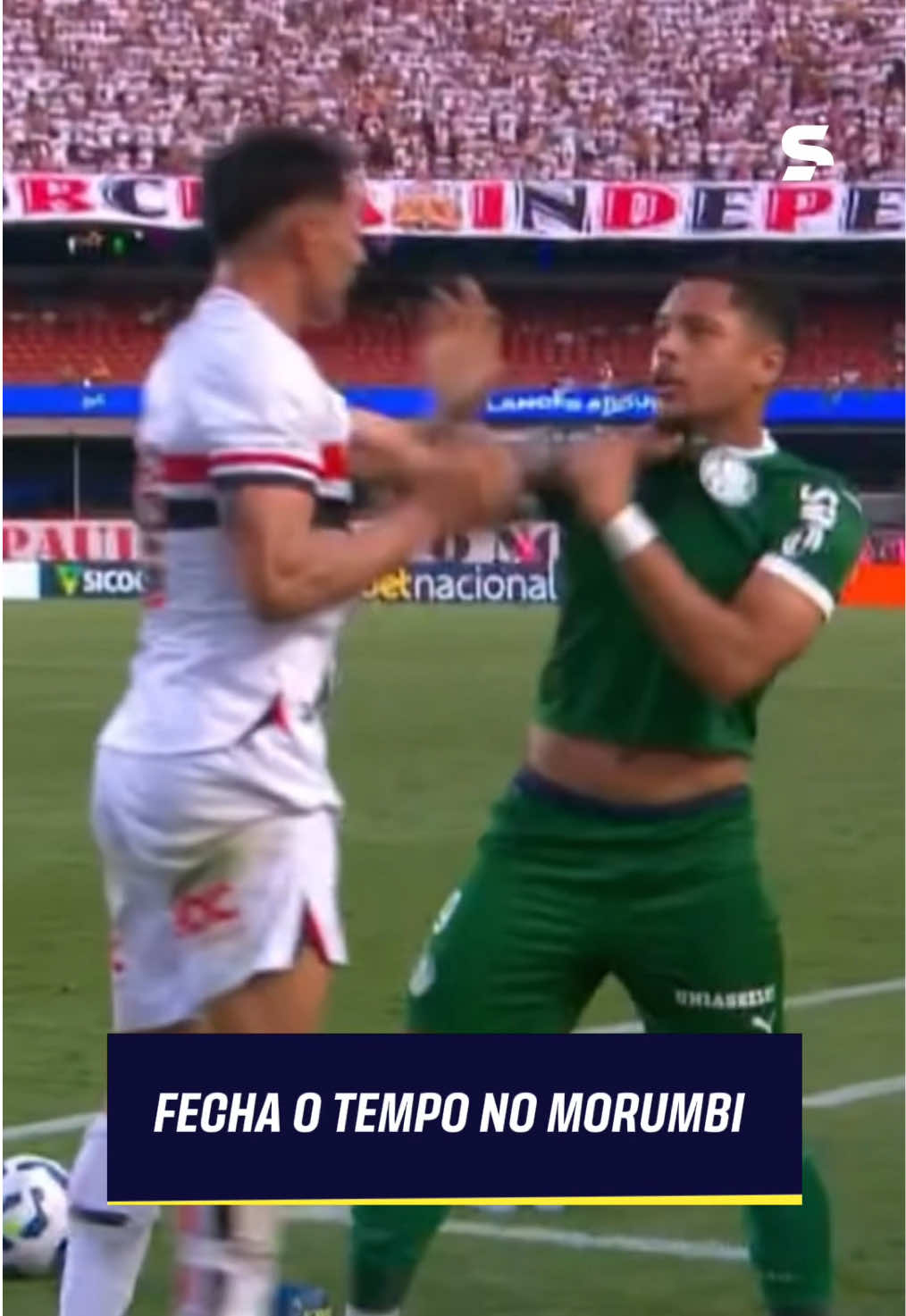 ALERTA CONFUSÃO NO CLÁSSICO! 🚨 O clima esquentou demais durante o jogo do Palmeiras e São Paulo, os jogadores Vitor Roque e Enzo se desentenderam e a confusão generalizou. Aí não, hein galera! 👀 *Contém legenda automática. #BrasileiraoNoSportv #Palmeiras #SaoPaulo #Classico #VitorRoque 