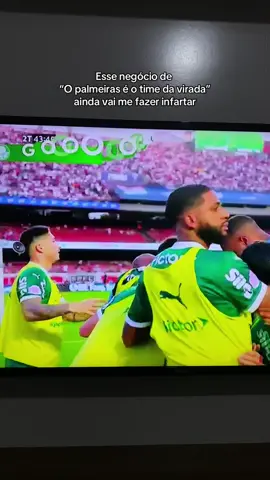 Sério | O PALMEIRAS É O TIME DA VIRADA! | #palmeiras #palmeirasminhavidaevoce #futebolbrasileiro #vaiprofycaramba #fyp 