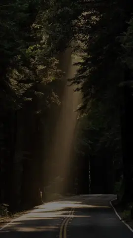 Reflexão da noite...✨️💭 #CapCutMotivacional #Motivacional #reflexaodevida  #CapCut 