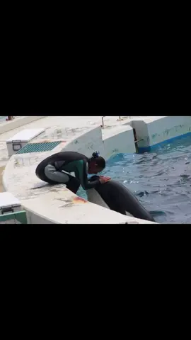 Fトレーナーとラビーちゃん♡ #鴨川シーワールド #可愛い #Orca #動物 #おすすめにのりたい 