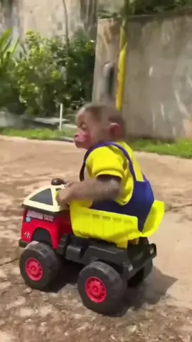 this was very upsetting to watch #fyp #viral #monkey #minions #crash 