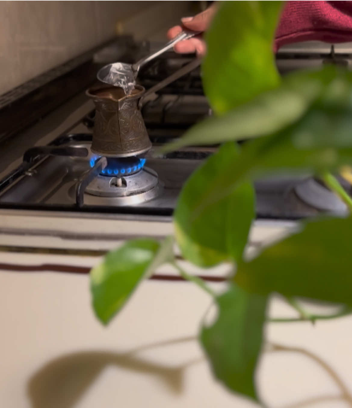 كأنو بدأ الشتاء والا ايش رايكم ؟! #هومي_هون 