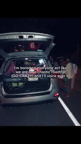GO CRAZY #roadtrip #voiceover #funny #real #trend 