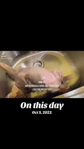 #onthisday 
