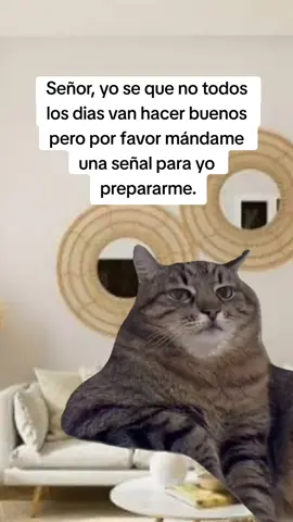 #Meme #MemeCut #CapCut #meme #humor 