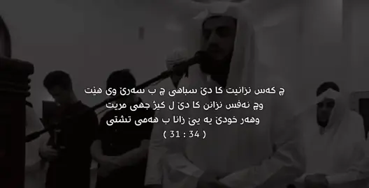 🩶”                              #foryou #explore #qoran #duhok #zaxo 